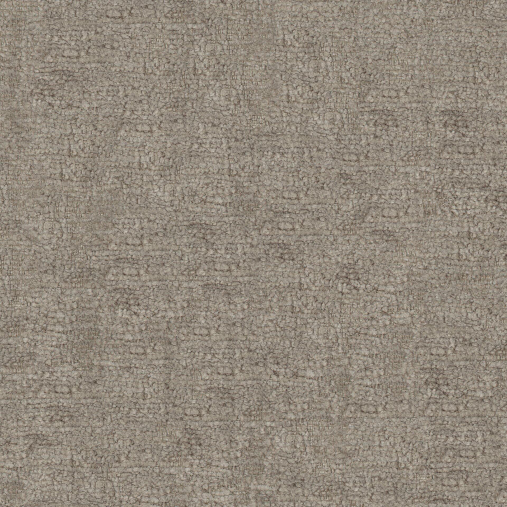 Brigadier 02-Chinchilla