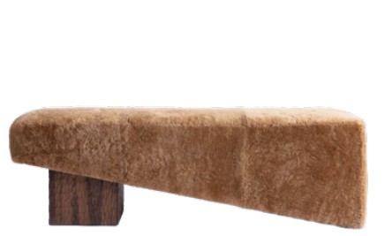 GUEST SUITE - BEDROOM DRESSING 19 | 05 BENCH CMT - 4m placeholder