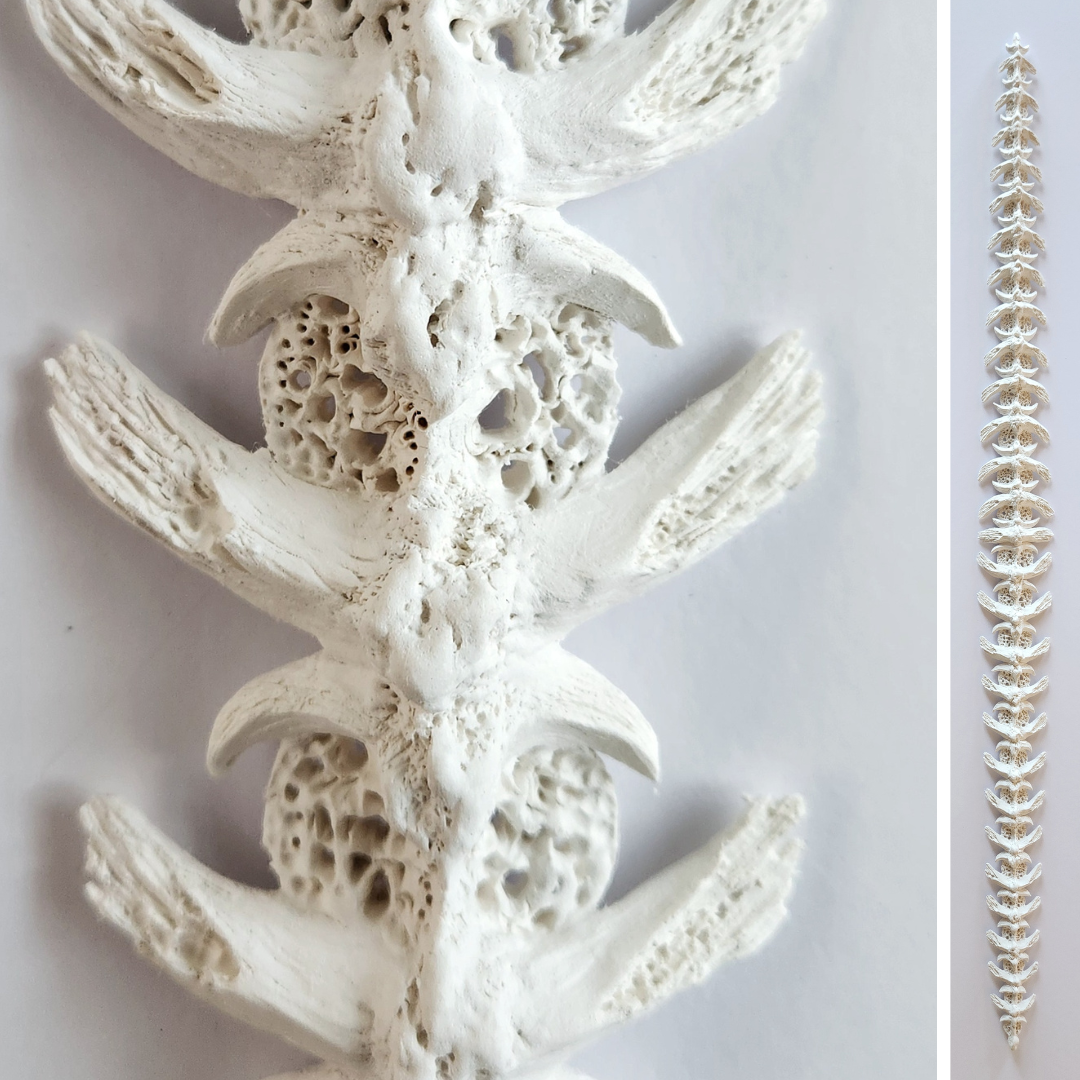 Gister se Wysheid / Yesterday's Wisdom #1 placeholder