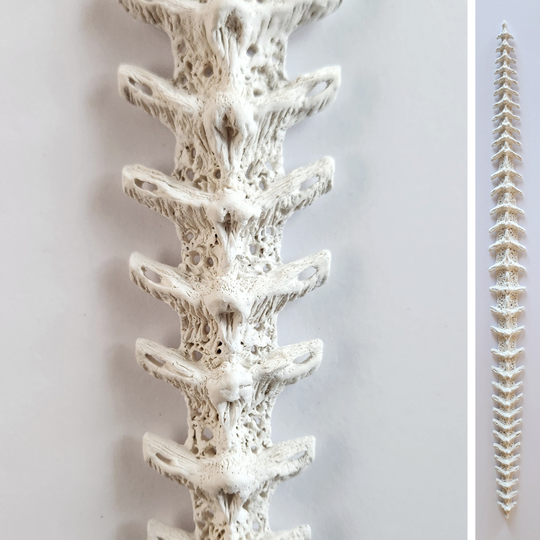 Product Gallery Thumbnail 1