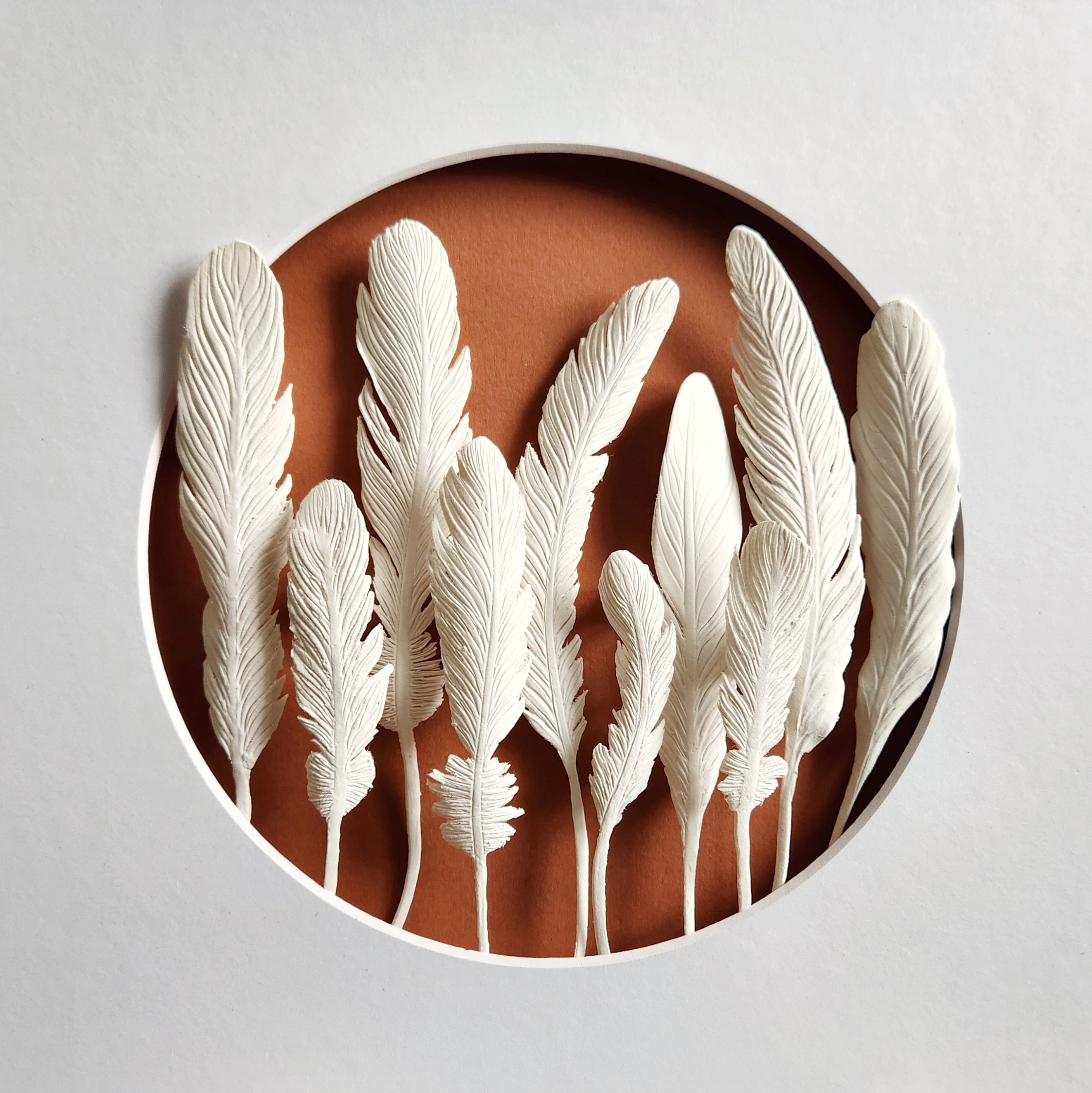 Feather #4 placeholder