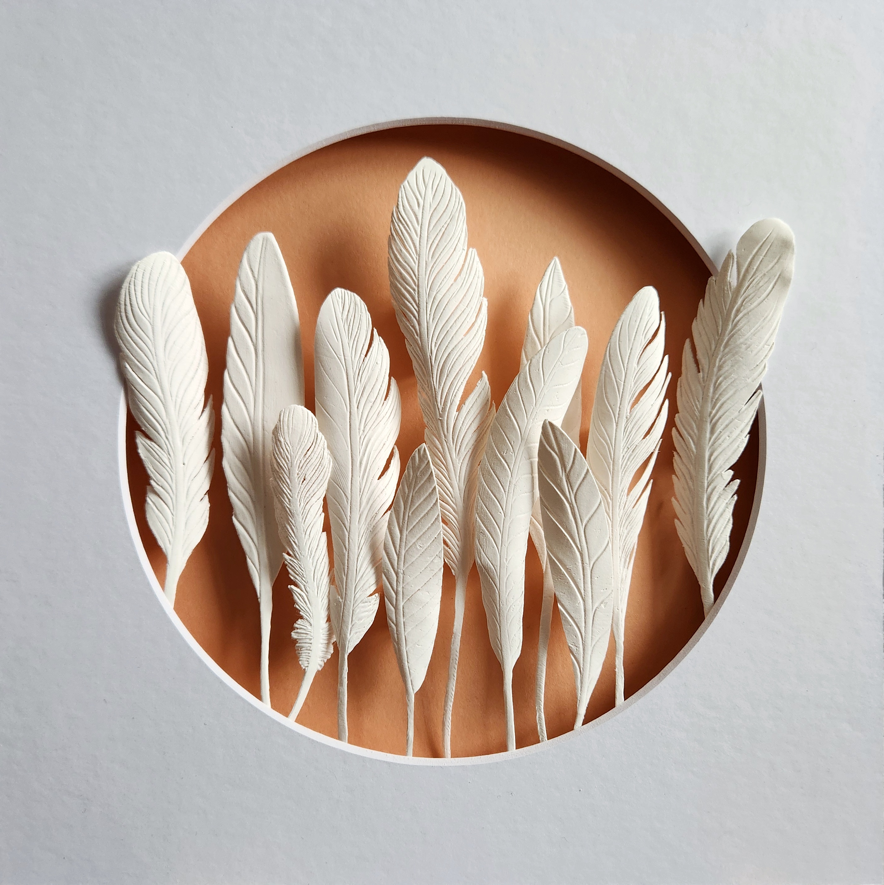 Feather #5 placeholder